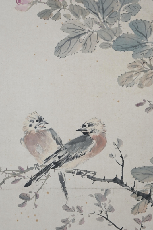 月季白头(4)