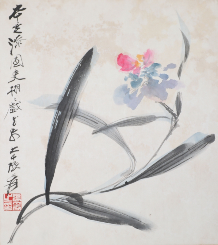 花卉(1)