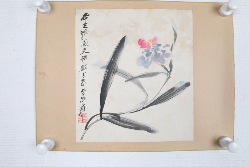 花卉(4)