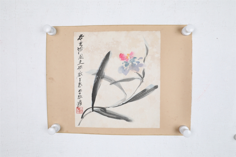 花卉(6)