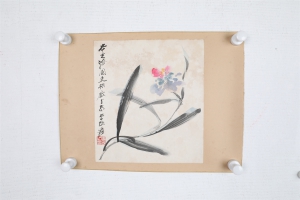 花卉(6)