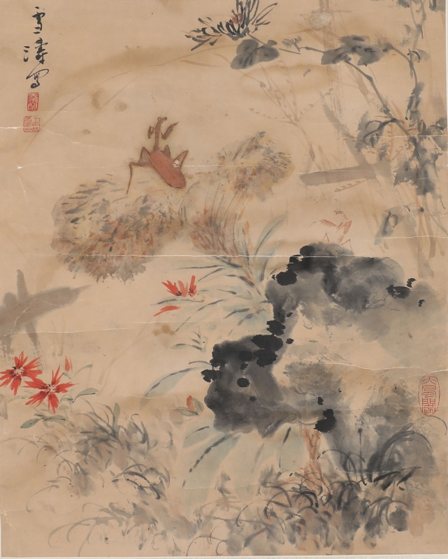 花卉螳螂(1)