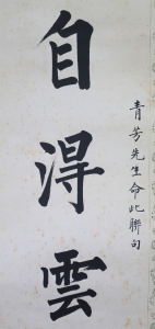 (3)
