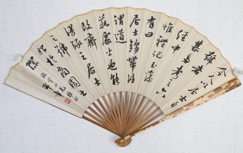 花卉成扇(4)