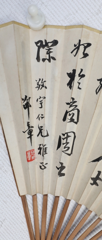 花卉成扇(5)