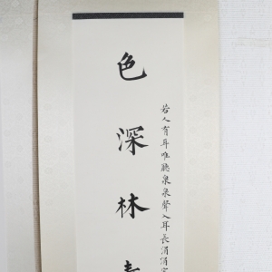 (3)