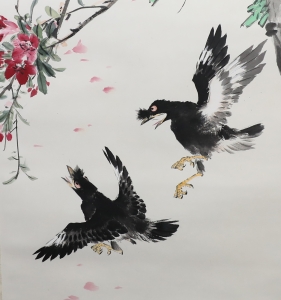 桃花八哥(3)