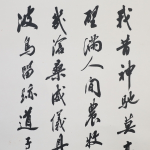 (3)